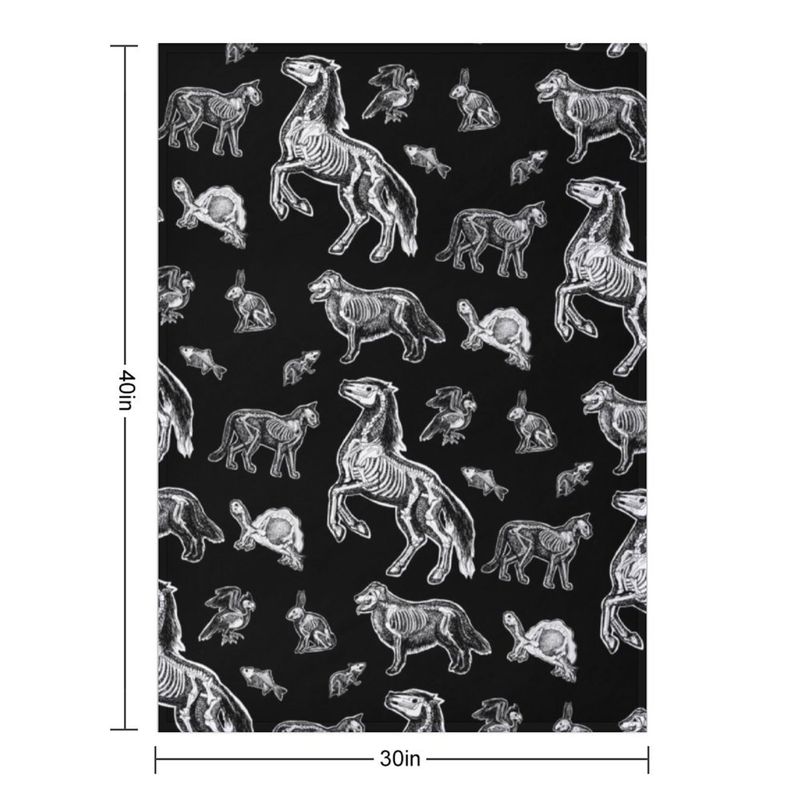 Tierärztektechniker: Röntgenbi – 3D Printing X Ray Bewertung und Preis